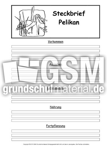 Steckbriefvorlage-Pelikan.pdf